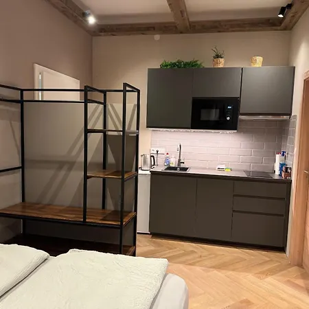 דירה Book-a-room 34 זלצבורג